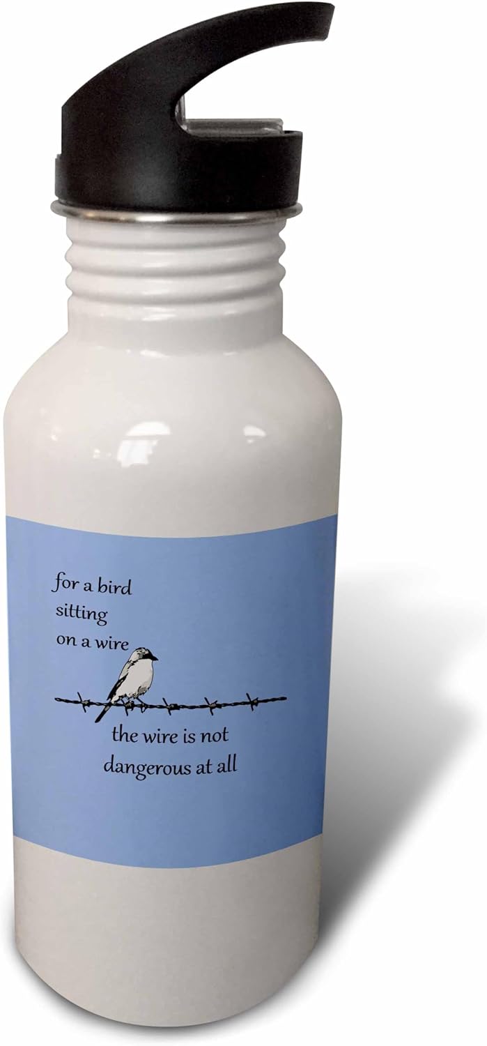 3dRose For A Bird Sitting On A Wire The Wire Is Not Dangerous At Flip Straw 21oz Water Bottle