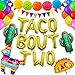 Taco Bout Two balloons Banner Taco Twosday Birthday Party Decorations Taco Bout A Party Taco Birthday Party Decorations Mexican Fiesta Two Birthday Twin 2nd Birthday Party Decorations Cinco De Mayo