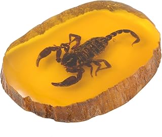 Garneck Amber Fossil Insect,Artificial Amber Insect Specimen Pendant Butterfly Scorpions Insects Amber Stone Ornament for Collection(Scorpion)