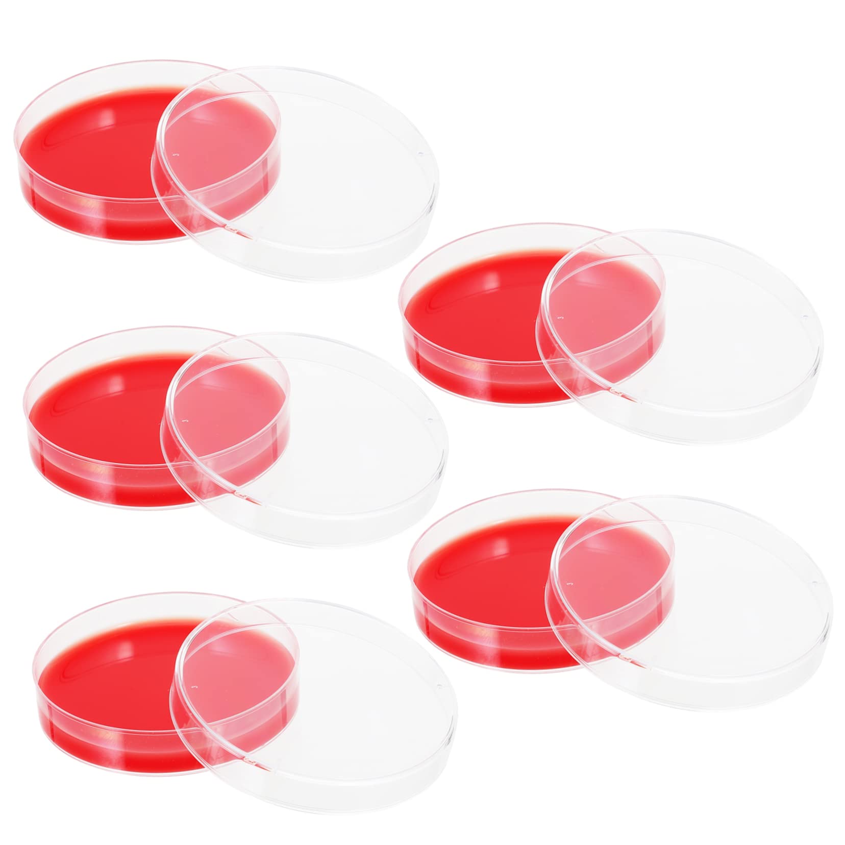 NAMOARLY 70mm Agar Plates Bulk Agar Plates for Labs Pre-Poured 10pcs Crack-Resistant