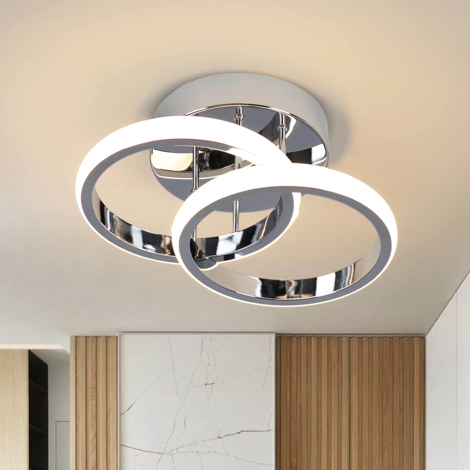 EIDISUNY Modern Ceiling Light LED 22W Warm White Light 3000K Silver — image 1