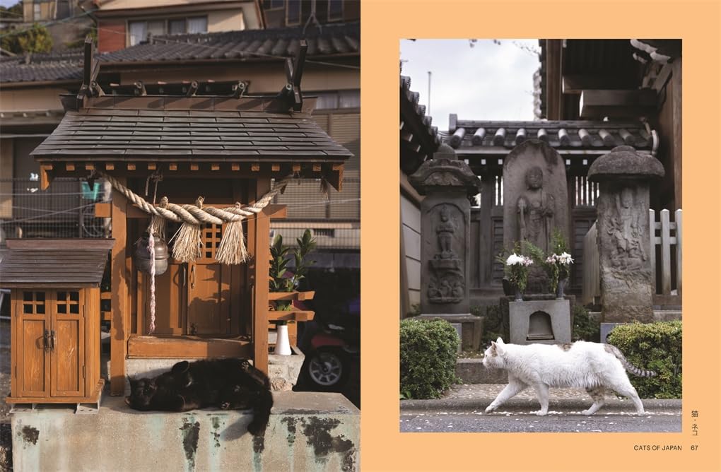 Neko Cats of Japan