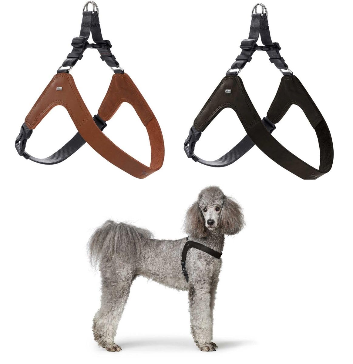 Hunter Hundegeschirr DIMARO, Farbe: Cognac, weiches & Robustes Rindsleder, hervorragende Passform, leicht anzulegen, stufenlos verstellbar, ideal für Welpen & kopfscheue Hunde, Größe: XS-S
