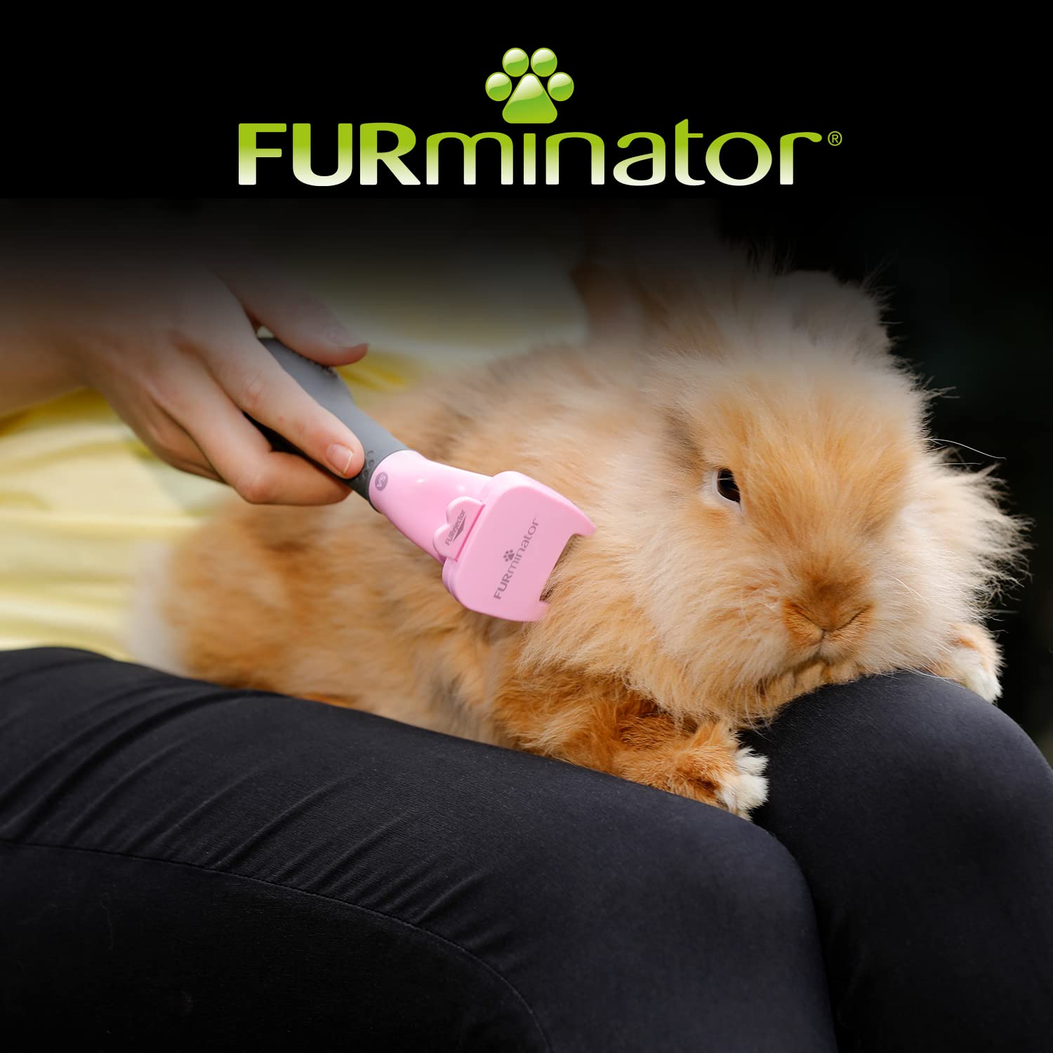 FURminator deShedding, Tool para animales pequeños, Cepillo para pequeños animales para conejos, roedores & co. para eliminar el pelo suelto, Diseño mejorado