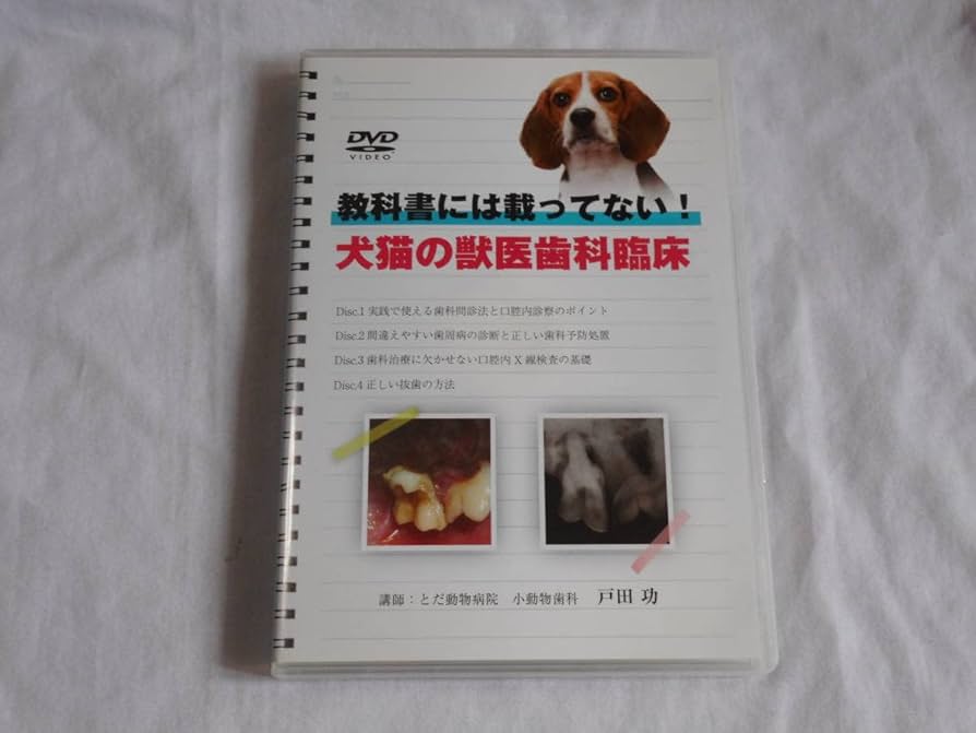 Amazon.co.jp: 教科書には載っていない!犬猫の獣医歯科臨床 DVD4枚組 Amazon.co.jp: 教科書には載っていない!犬猫の獣医歯科臨床 DVD4枚組