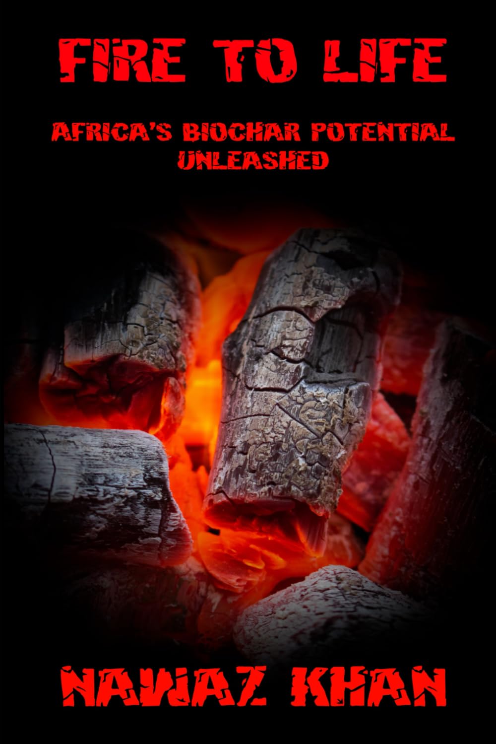 Fire To Life: Africa's Biochar Potential Unleashed