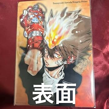 家庭教師ヒットマンREBORN! ポストカード 沢田綱吉 獄寺隼人 リボアニ Amazon.co.jp: 沢田綱吉 綱吉 獄寺隼人 獄寺 家庭教師ヒットマン