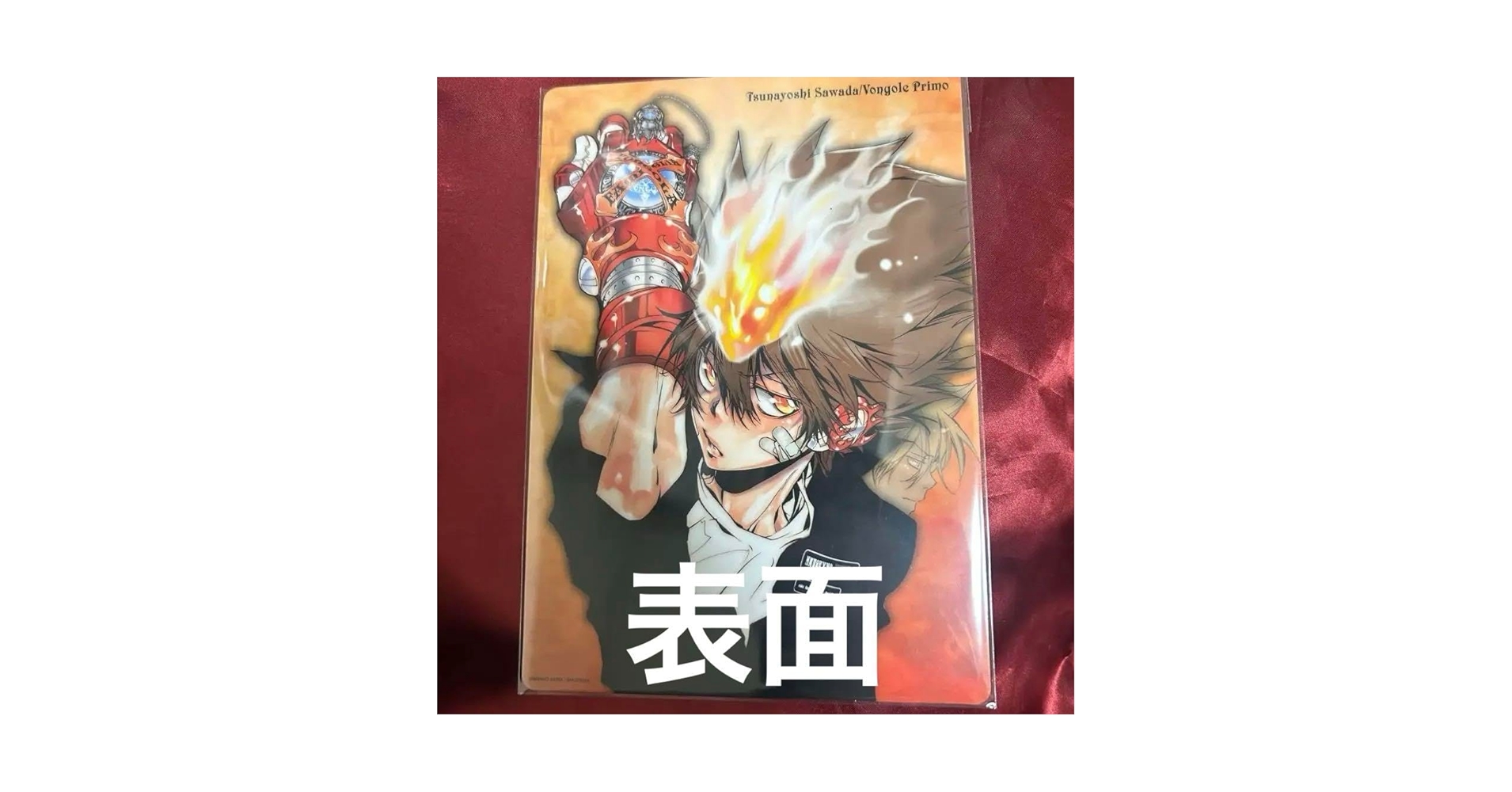 家庭教師ヒットマンREBORN! 沢田綱吉　獄寺隼人 N02☆Suit Selection スーツセレクション 家庭教師ヒットマン