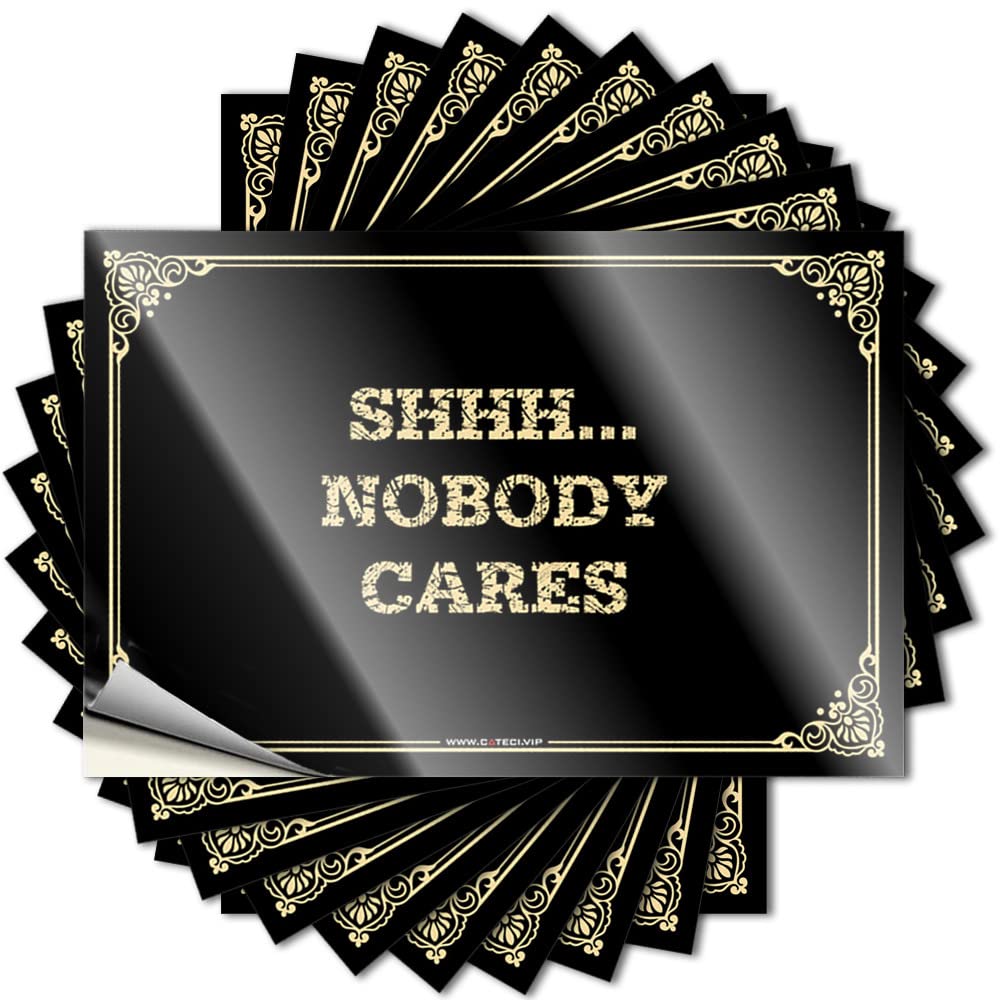 Fzfn Colour Saying Music Peel And Stick - Shhh.nobody Cares Garage Motivational Waterproof Vinyl For Drinking(6X9cm)