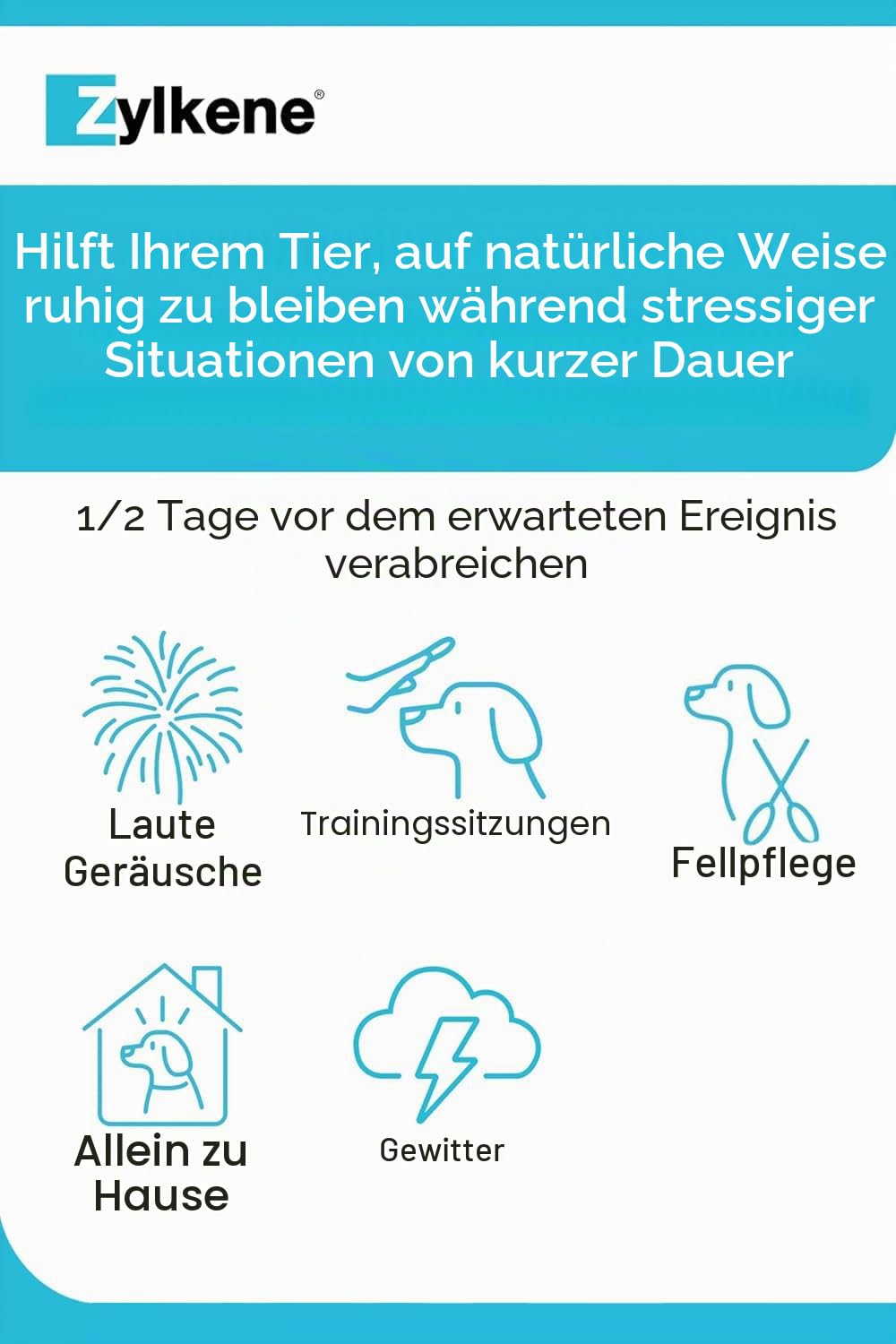 Zylkene Ergänzungsfuttermittel | Hunde über 15 kg | Entspannend bei Unwohlsein | 100 Kapseln á 450 mg