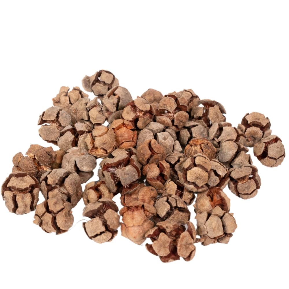 Rainbow Eco Play Natural Cypress Pine Cones – Christmas Decorations, Wreath Crafting, Ideal for Crafts, Bowl Fillers, Festive Floristry and Display, Home Décor, Table Scatters - approx 30pcs - 100g