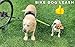 BIKE AND DOG - Dog Leash and Harness for Bicycle, Harness with 3 Rings, 2 are Sides, Includes 2 Special Cable Ties for Bicycle. Patented. (Black, Leash)