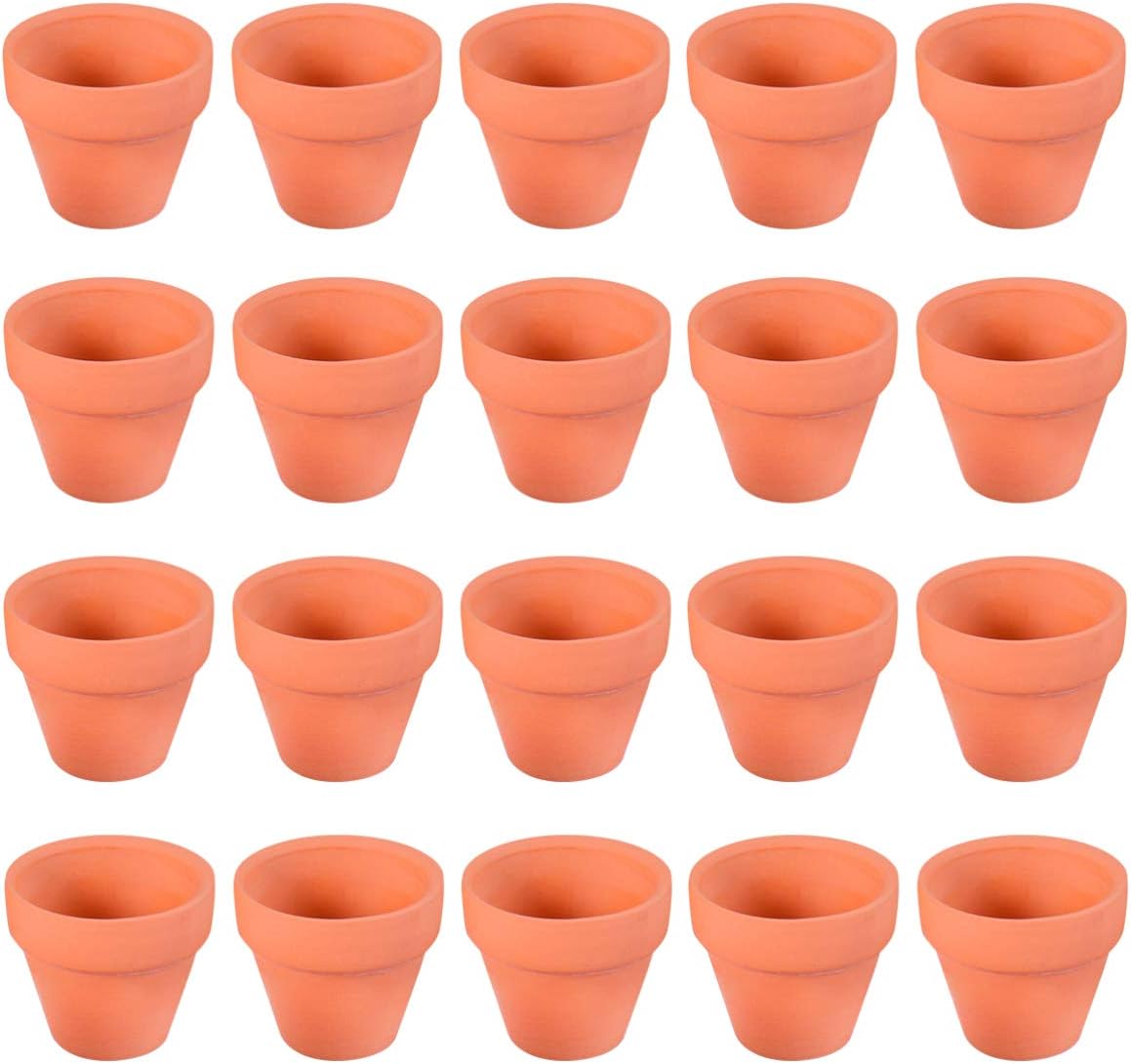 HERDUK Confezione da 18 piccoli vasi in terracotta da 7,6 cm, con fori di drenaggio e piattini, mini vasi per piante grasse, cactus, interni, esterni, decorazioni per Halloween