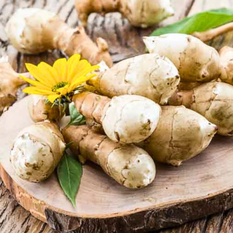 Miniatura 2 de Tubérculos grandes de alcachofas de Jerusalén de 1 libra para plantar, sunchokes frescos, raíces perennes comestibles resistentes para huerto al