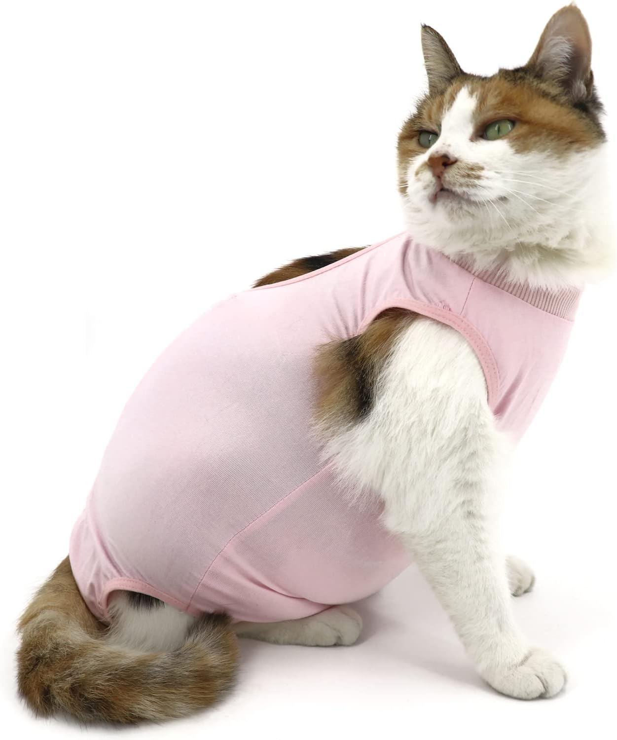 QIYADIN Cat Recovery Suit, Cat Surgical Recovery Suit for