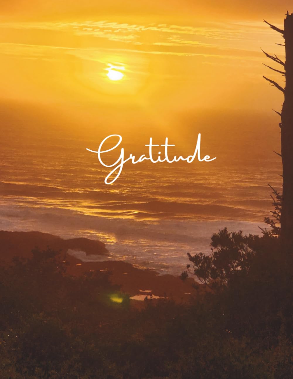 Manifest Your Magic: A Creative Gratitude Journal": "A Guided Space for Manifesting, Reflecting, and Creating Your Best Life