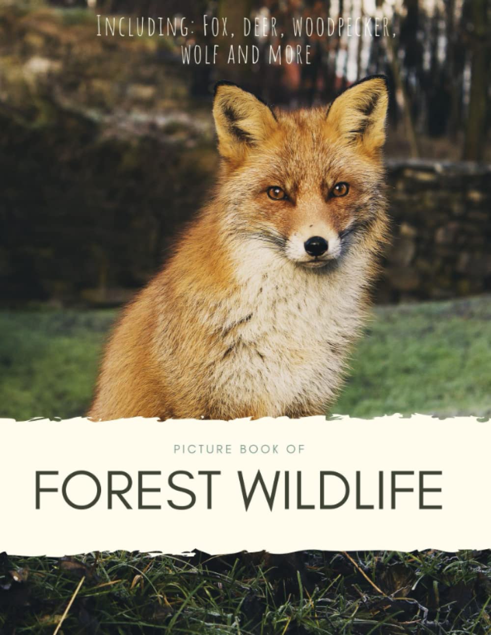Picture Book of Forest Wildlife: for Alzheimer’s and Seniors with Dementia- Colorful Photos with Large Print for Elderly People or to Help them Feel ... in the Forest (Nostalgia Coffee Table Books)