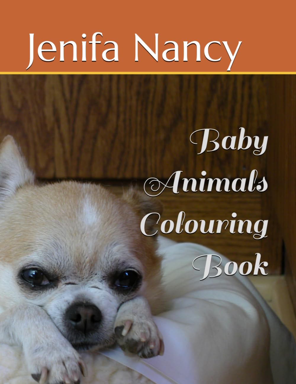 Baby Animals Colouring Book