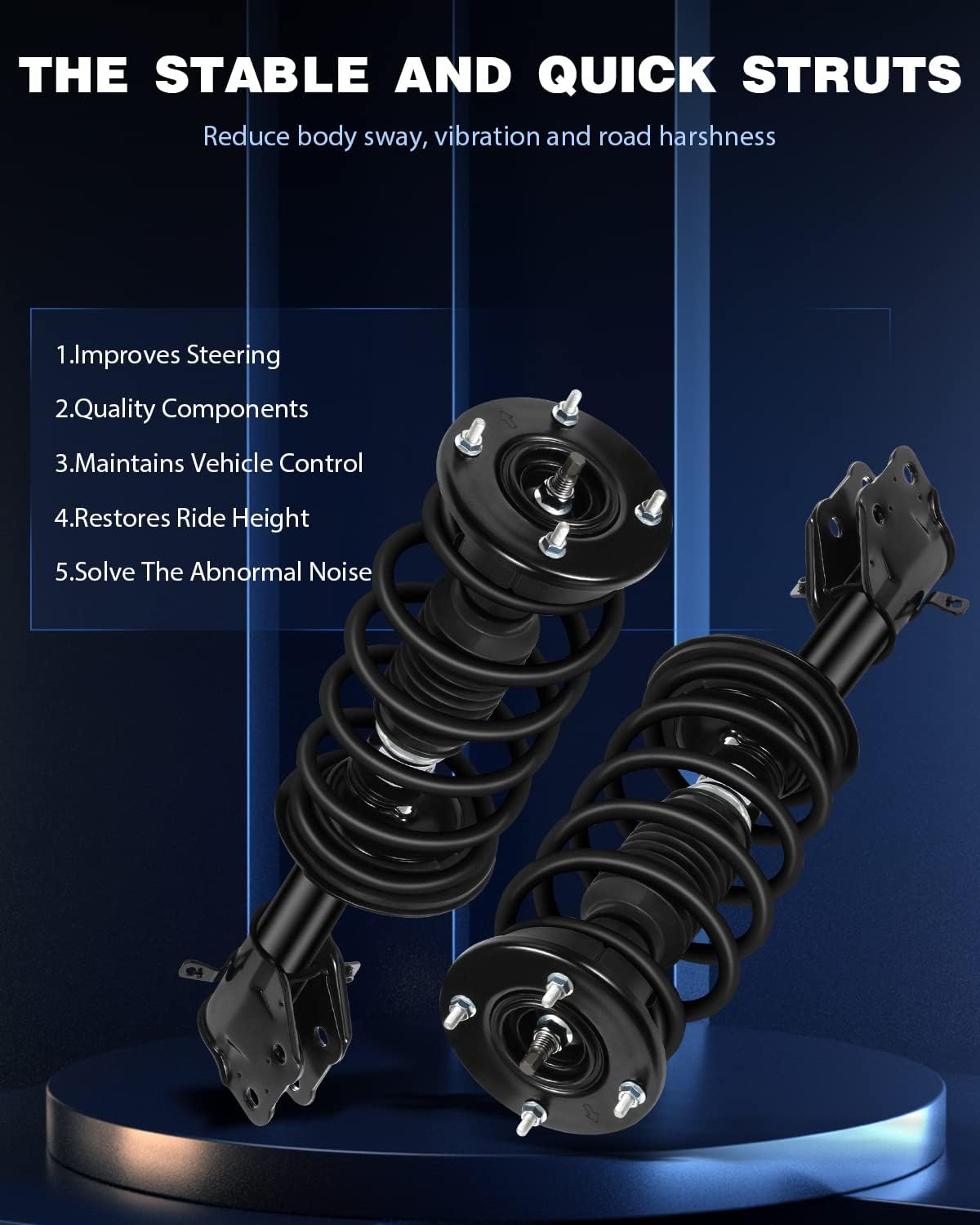 ECCPP Complete Struts Spring Assembly Front Struts Shock Absorber Fit for 2007-2010 for Ford Edge,2007-2010 for Lincoln MKX