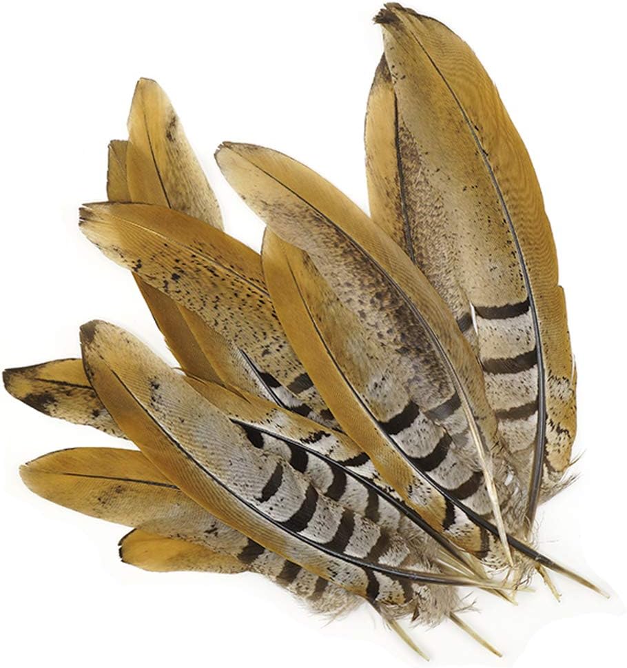 ZUCKER Pheasant Tail Feather Craft Supplies - 6-8" Natural Golden Brown Home Decor 12pcs