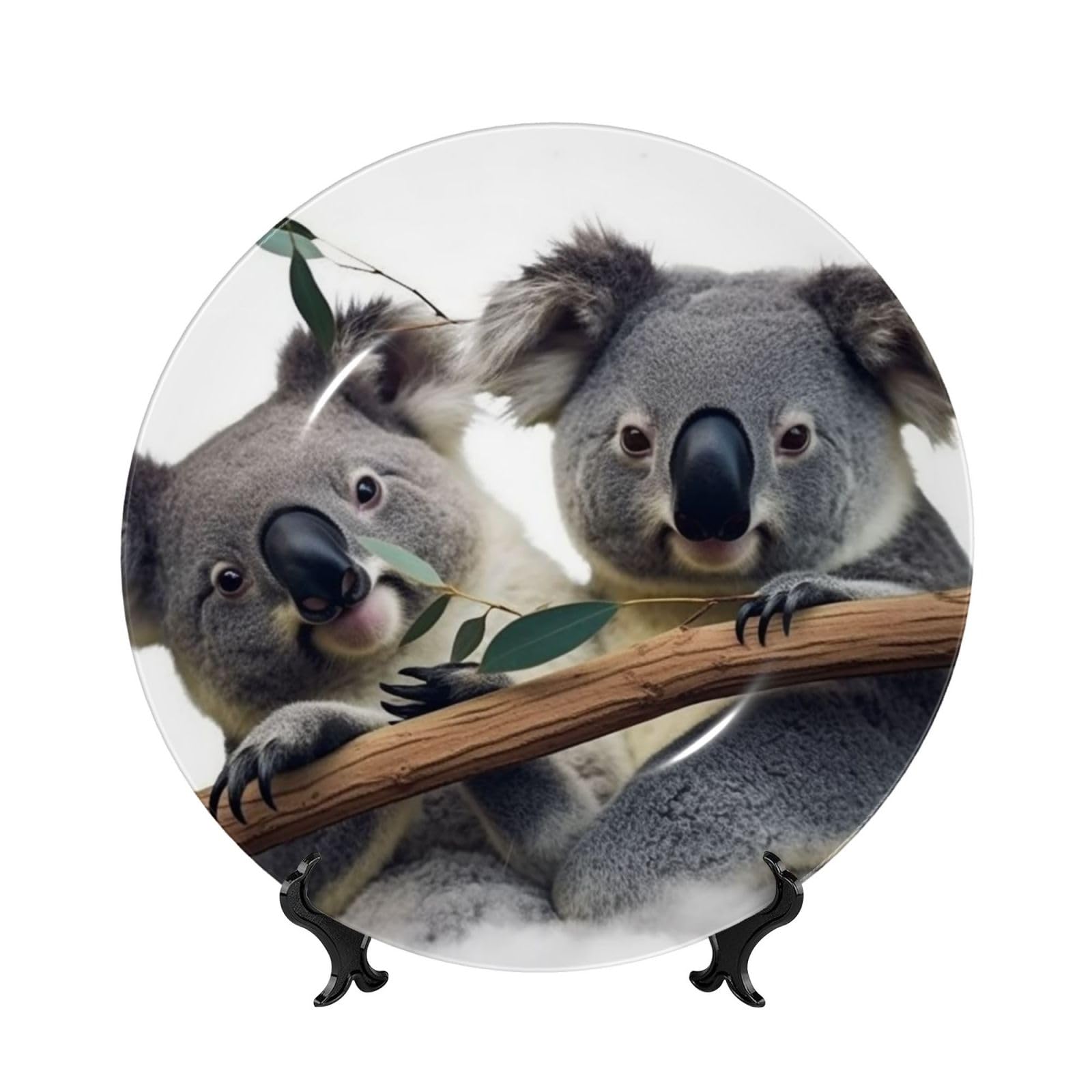 Assiette décorative en porcelaine koalas pour rompre la monotonie murale