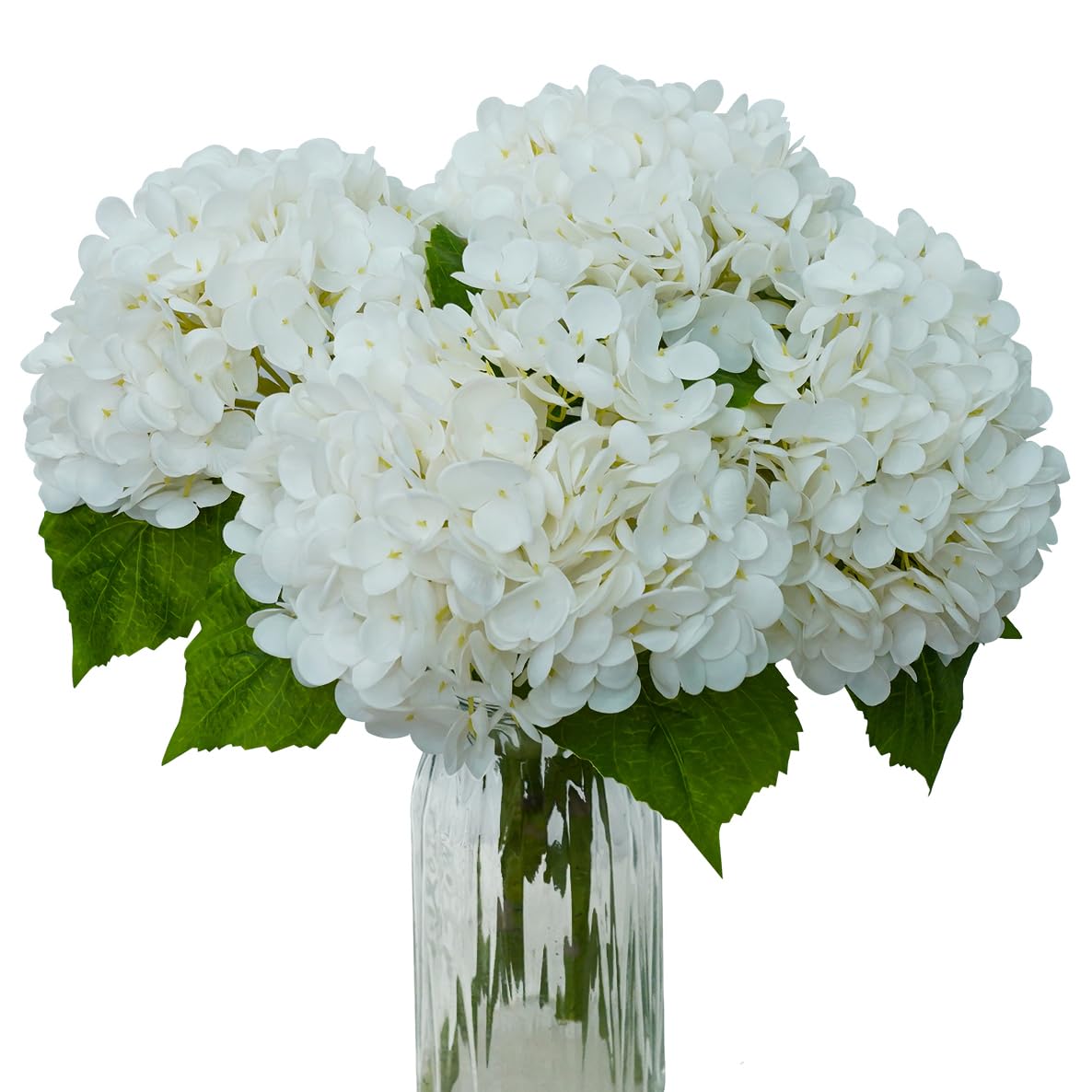 product_img5