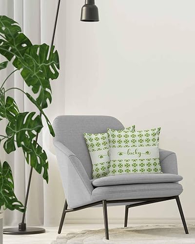 Miniatura 4 de Pack of 2 Cotton Throw Pillow Covers, Lucky St. Patrick's Day Shamrock Green Soft Square Pillow Covers Home Decoration Pillowcases for Living Room