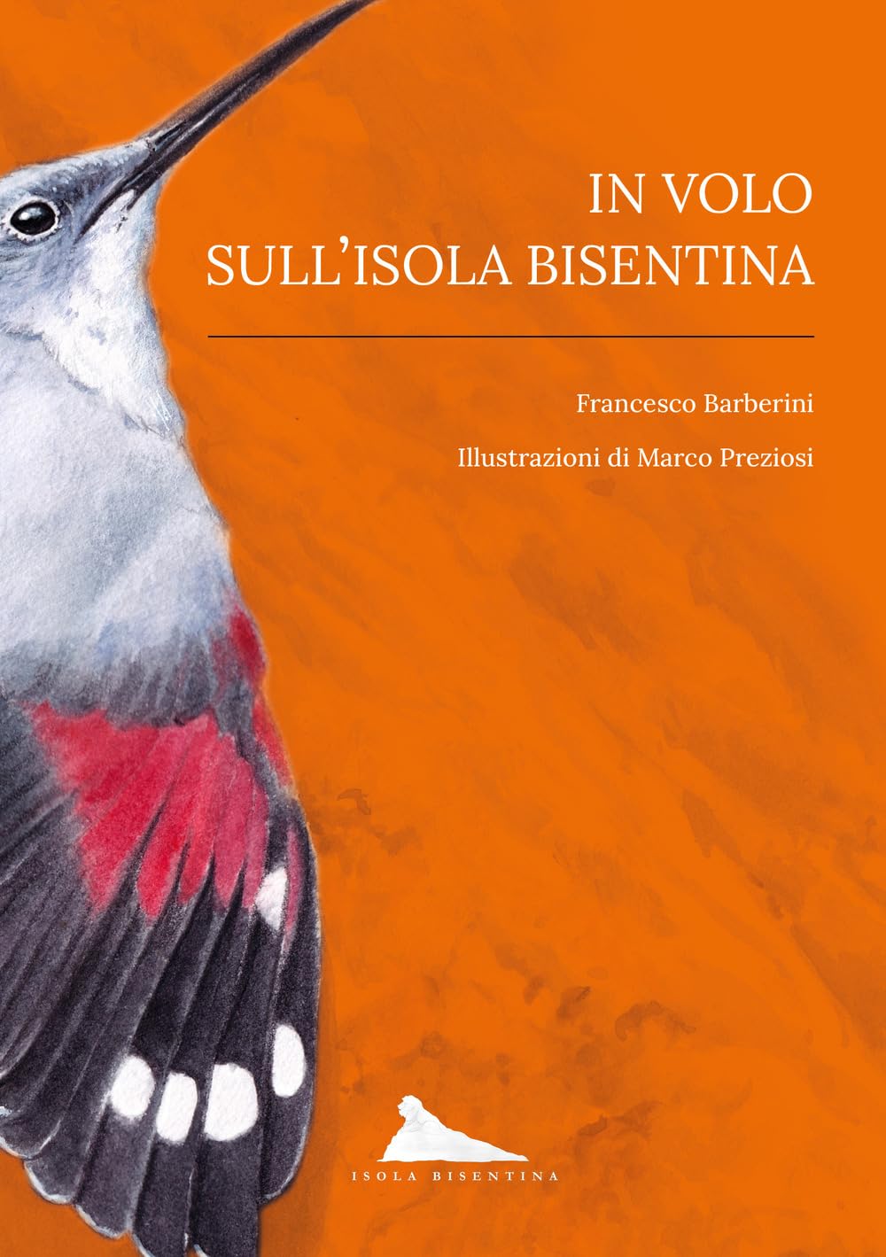 In Volo Sull'isola Bisentina - 4