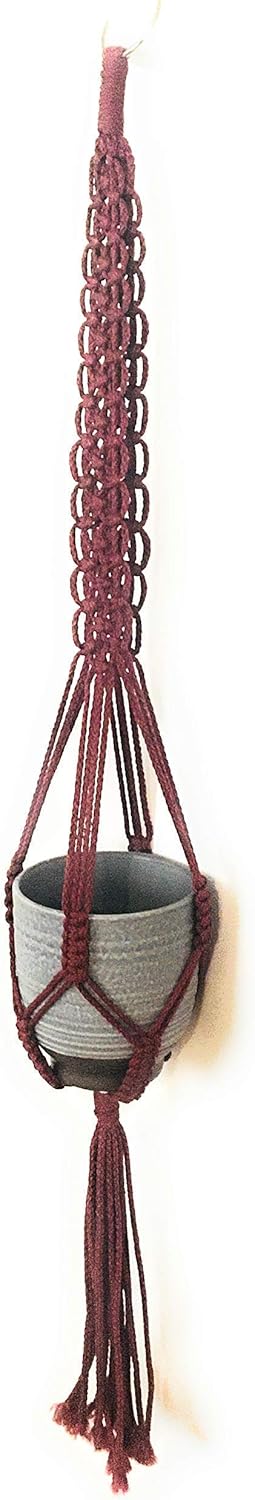 Macrame Plant Hangers by Zen Knots
