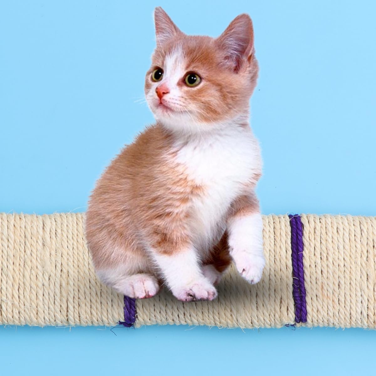 review FOMIYES 2 Pcs Flat Scratch Board Carpet Pad Toys Flat Cat Scratch Board Cat Toys Sisal Scratcher Creative Cat Toy Pet Toys Floor Scratching Rug Sisal Scratch Board Cat Wall -scratch