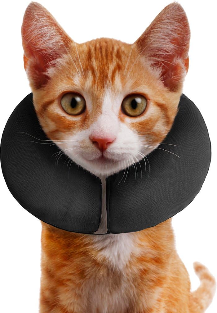 procollar premium protective collar