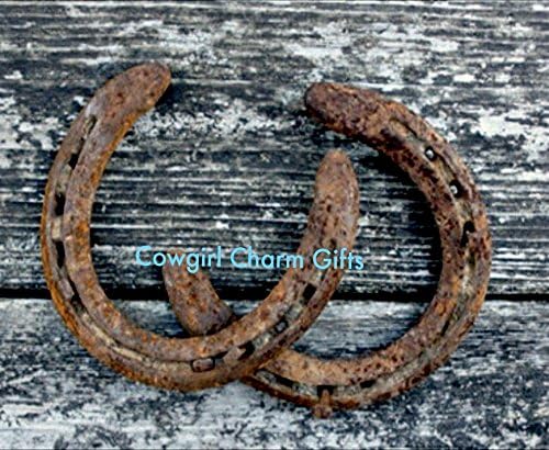 Horse Shoe,used horse shoe, authentic used horse shoe, iron horse shoe