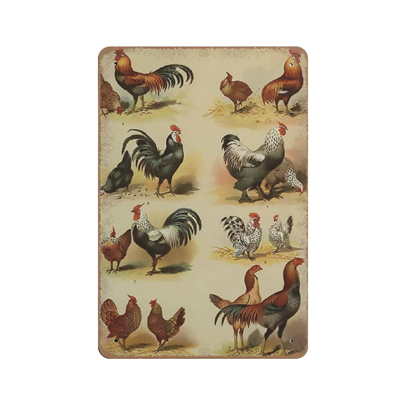 Chickens, Hens, and Roosters Breeds Metal Signs, Fun Poster For Bar Kitchen Cafe Farmhouse Wall Decor 12x8 Inch