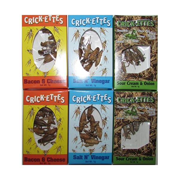Hotlix Real Crickets to eat Crickettes Variety Pack of Six Insect