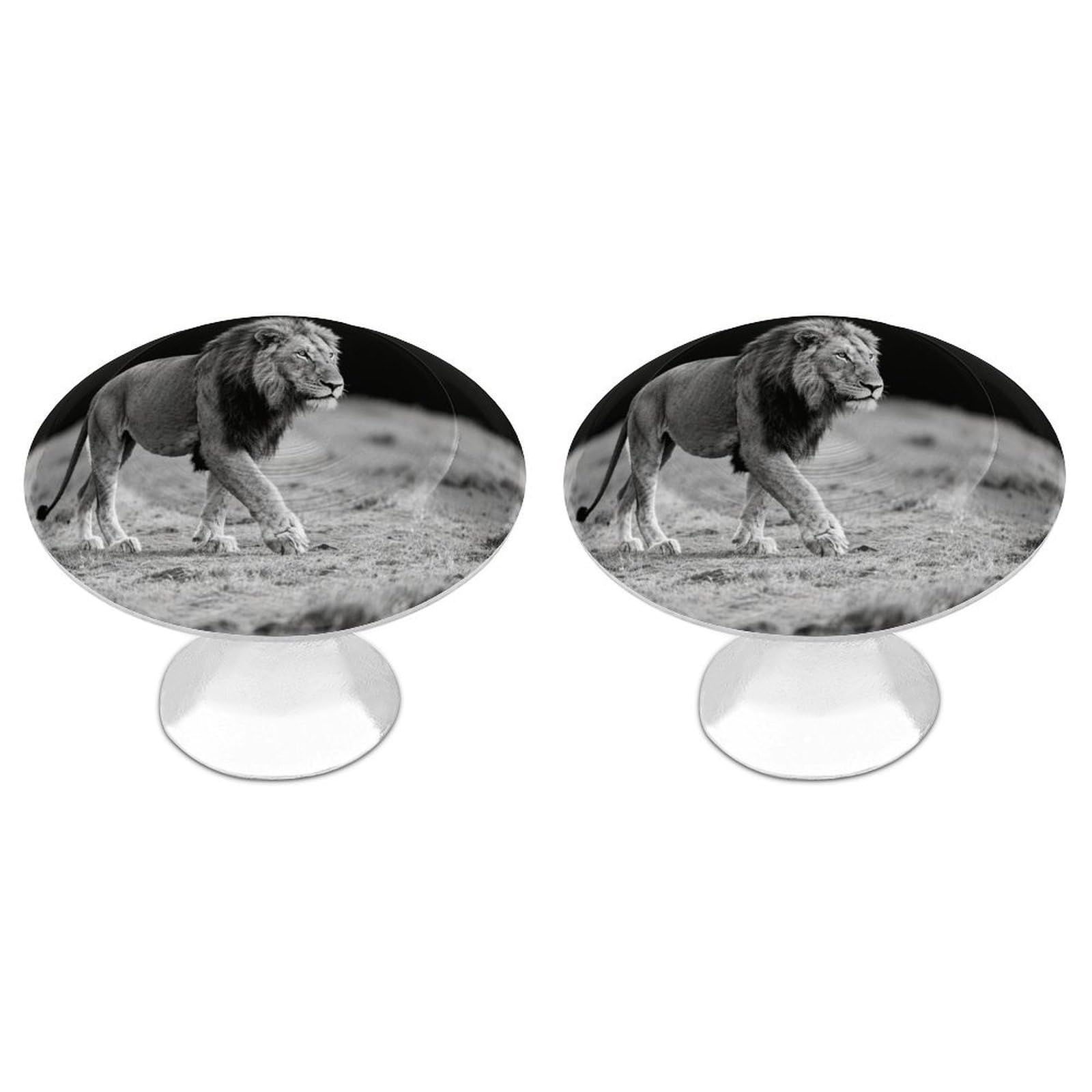 Vstadank Style Wild Animal Lion Drawer Knob Nice Bathroom Cabinet Knob Round Cabinet Pull Stainless Steel Cabinet Handle Circle Drawer Handle Modern Drawer Pull For Wardrobe Cupboard 2 Pcs