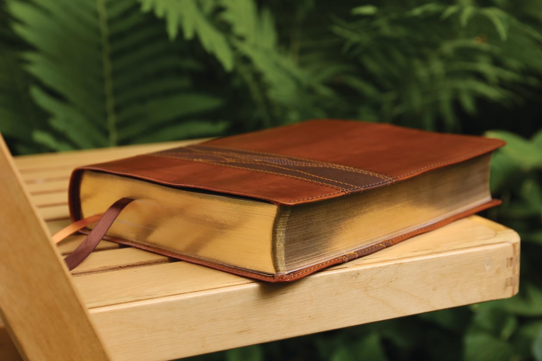 Rooted: The NIV Bible for Men, Leathersoft, Brown, Comfort Print: Shaping Men for Faithful Living in Today’s World