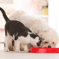 Vista 4 de I Love My Pets Diarrea probiótica para gatos PET Digestive AID Perros y Gatos Mejor PROBIÓTICOS Salud Digestiva de Gato 60 Golosinas (1 Botella)