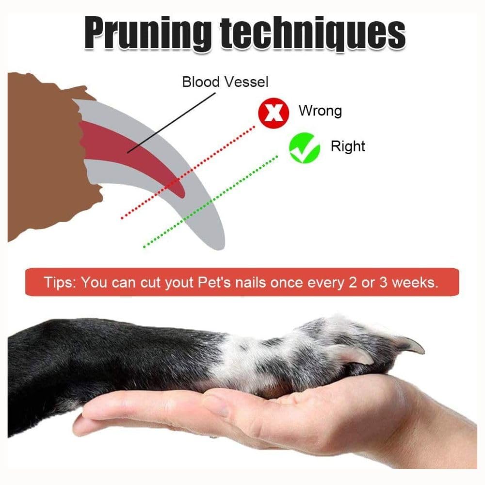 Pringo Pet Nail Clipper Kit | Stainless Steel Professional Nail Trimmer with Safety Guard & Ergonomic Handle | Durable Nail Cutting Tool Dogs and Cats | Pack of 1 2