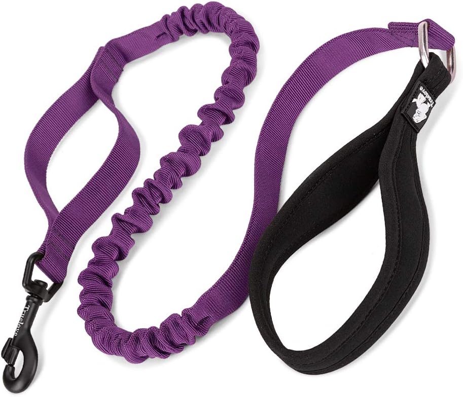 TRUE LOVE Elastic Bungee Dog Leash Shock Absorbing No Pull Nylon Training Lead Soft Handle with Extra Traffic Control Handle for Small Medium Large Dogs TLL2281(Purple,M)