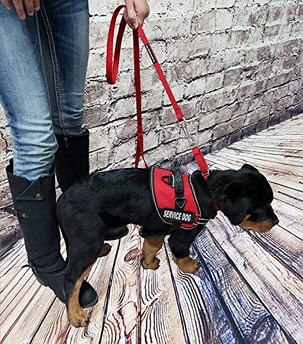Activedogs Service Dog Vest Harness + Free Clip-On Bridge Handle + Free Clip-On Id Carrier + Free Ada Cards + Free Reflective Service Dog Patches (Xl (Girth 29”-40”), Red) #TOP1
