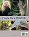 Costa Rica Wildlife guide 2026: A Field Guide to Spotting Rare Animals, Hidden Habitats, Secret Locations & Once-in-a-Lifetime Jungle Encounters