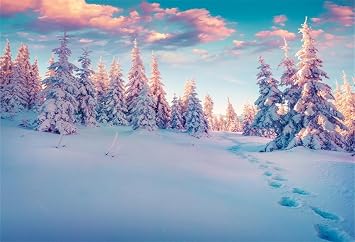 AOFOTO 10x7ft Winter Snowy Forest Scenery Backdrop Snow Covered Trees Landscape Photography Background White Christmas Xmas Holiday New Year Party Decorations Banner Adult Portrait Photoshoot Props