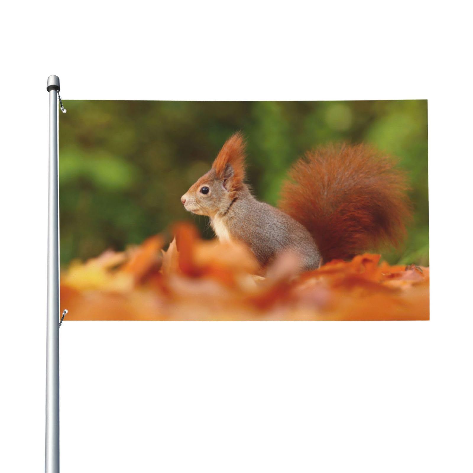 90x60cm (3x2ft) Cute Eurasian Red Squirrel In Autumn Flag For House Lawn Hanging Decorating Yard Banners Holiday Welcome Flags With 2 Metal Eyelets, Indoor Outdoor Use