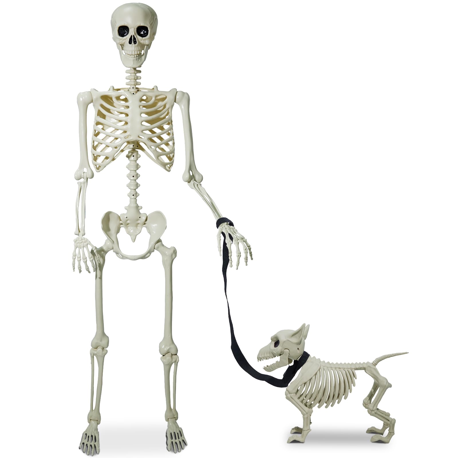 Life Size Skeleton, 5.4 Ft Halloween Skeleton Full Size, Halloween Skeleton Decorations, Posable Skeleton with Movable Joints for Halloween Indoor Outdoor, Dog Skeleton Included