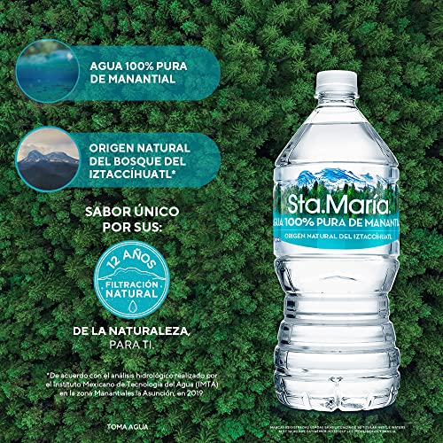 Santa Maria, Sta.María, Agua 100% Pura de Manantial Paquete 12 Piezas 1 Litro image_2