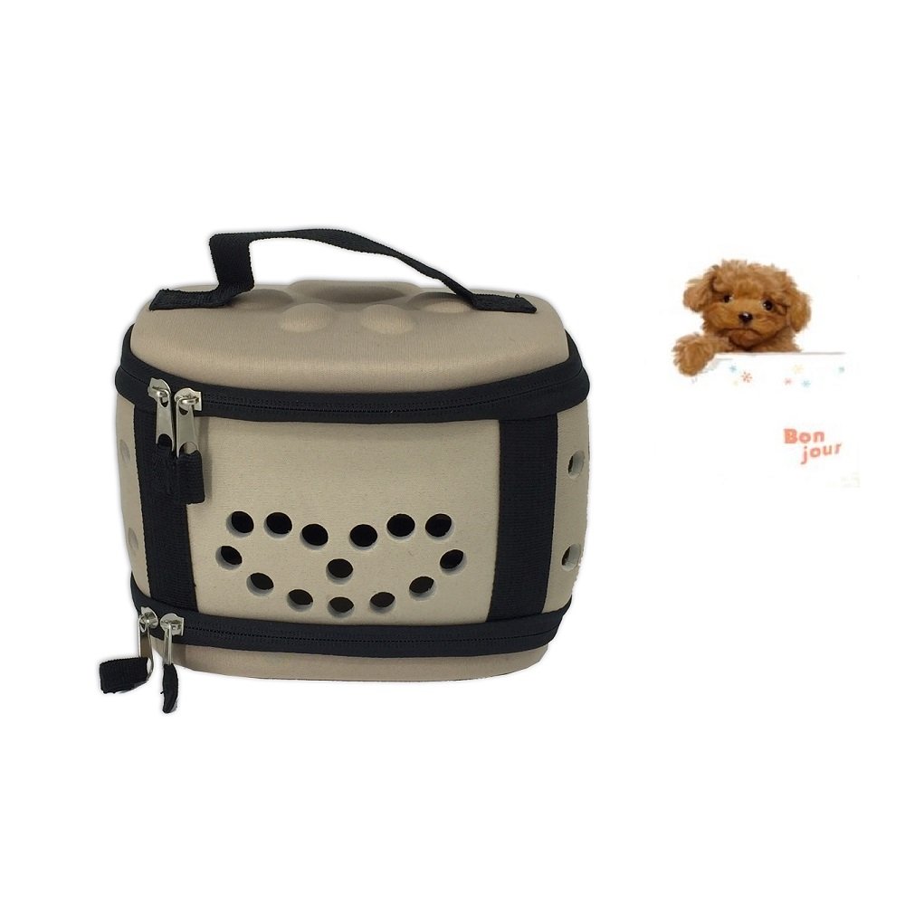What Size Carrier For Toy Poodle