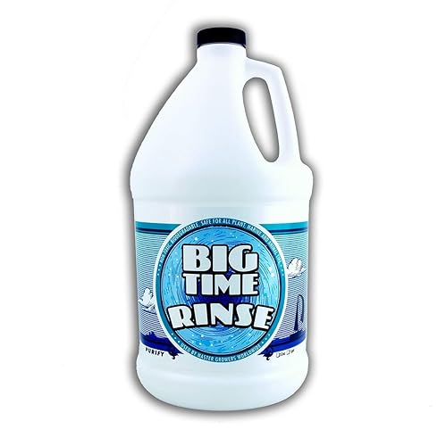 Big Time Rinse 1gal