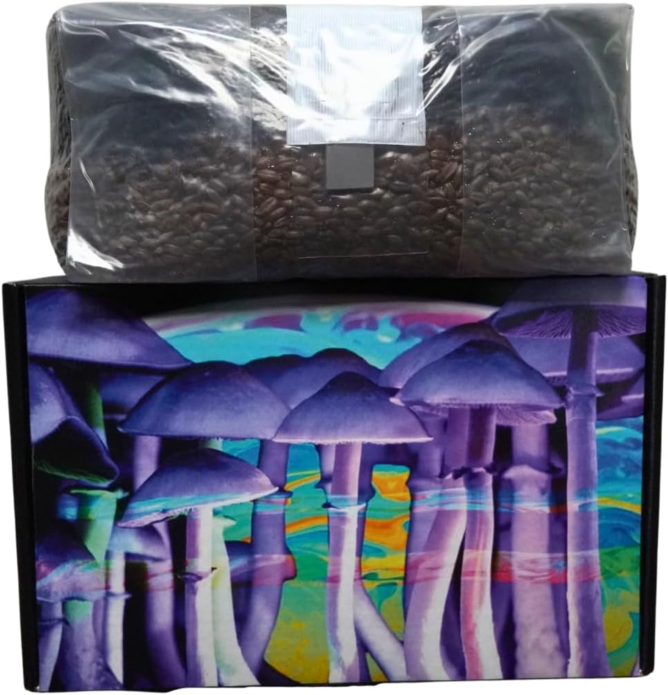 6 Pound Mushroom Grow Bag - All in One Mushroom Grow Kit in A Bag - Sterilized Grain Spawn and Bulk Substrate - Injector Port - Grow The Mushrooms in The Bag (1)