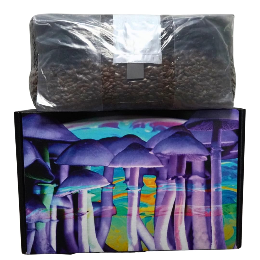 6 Pound Mushroom Grow Bag - All in One Grow Kit in A Bag - Sterilized Grain Spawn and Bulk Substrate - Injector Port - (Pack of 1)