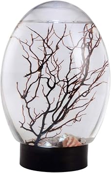 Desktop Aquarium, Mini Aquarium Fish Tank Ecosphere Closed Aquatic Ecosystem with LED Light Desktop Stable Black Base No Need to Feed or Change Water